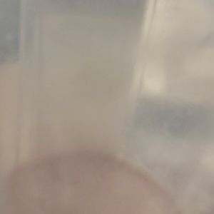 Meet your Posher, Walter